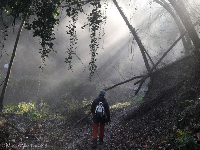 Camminare, un gesto Sovversivo