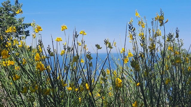 Il Parco tra la Collina e il Mare