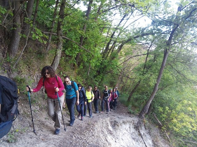 Open Weekend Colli Bolognesi