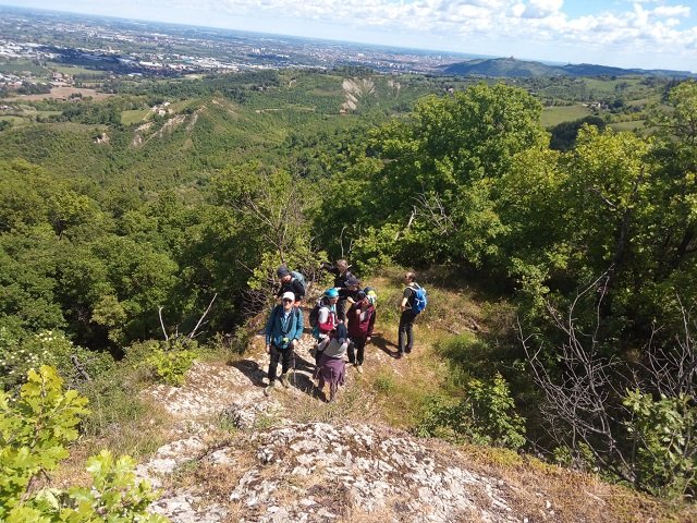 Open Weekend Colli Bolognesi