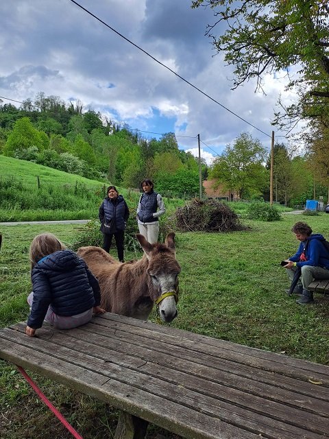 Open Weekend Colli Bolognesi