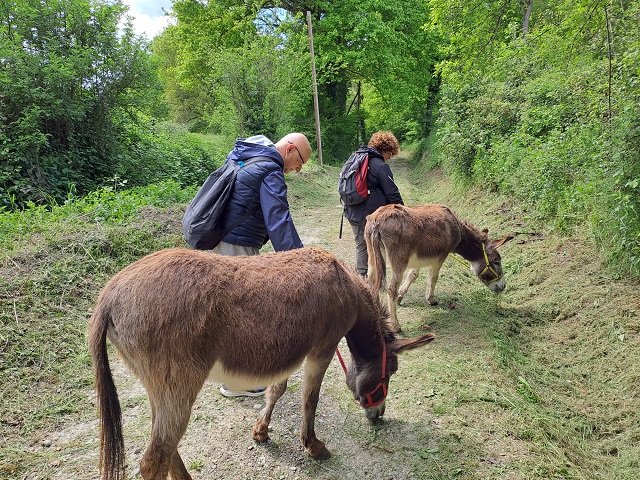 Open Weekend Colli Bolognesi