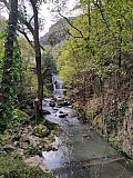 Cammina Natura 2024