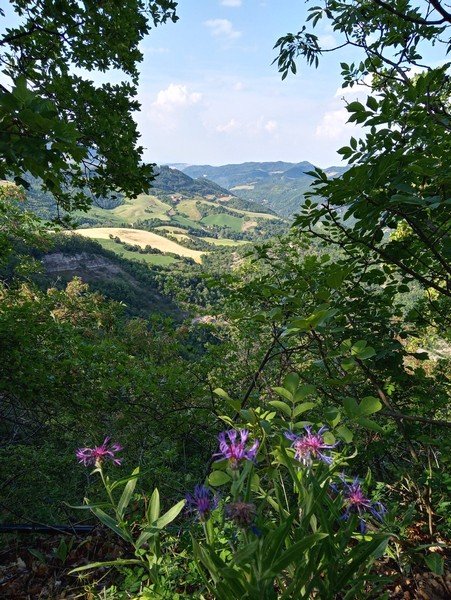 I Tesori di Monte Bibele
