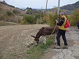 Omero e la Valsamoggia
