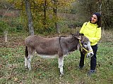 Omero e la Valsamoggia