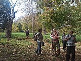 Autunno nella valle dell'Oggiola