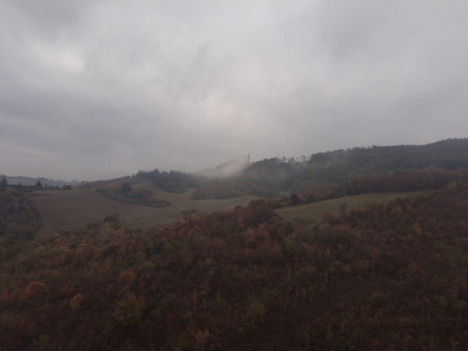 Sulle Tracce dei Brentatori