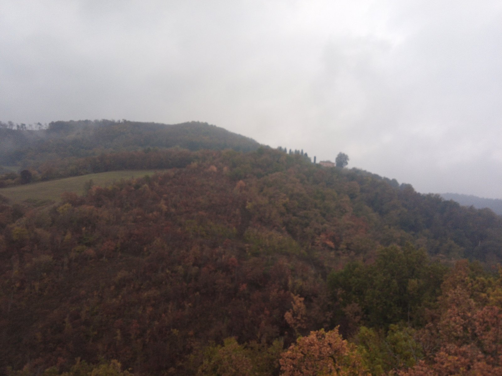 Sulle Tracce dei Brentatori