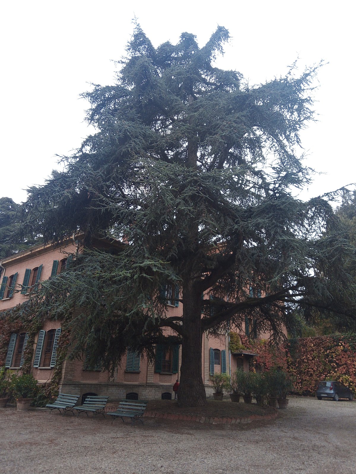 Sulle Tracce dei Brentatori