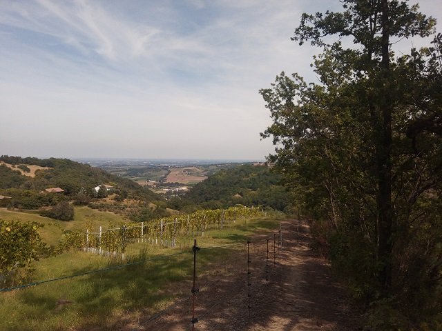 Tra Calanchi e Castelli