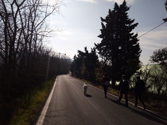 Su e giù per i colli Bolognesi