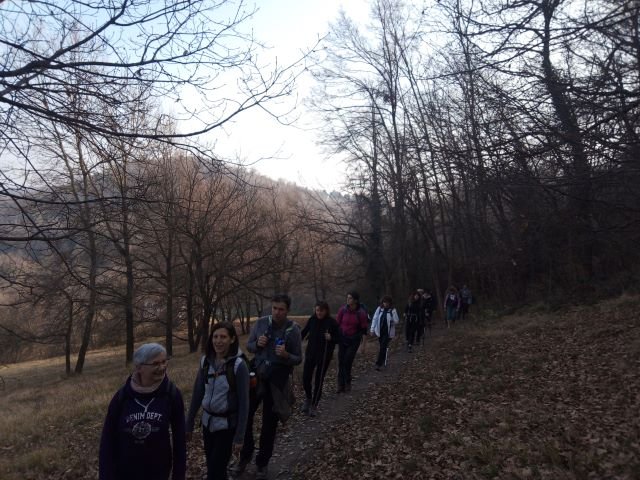 Su e giù per i colli Bolognesi
