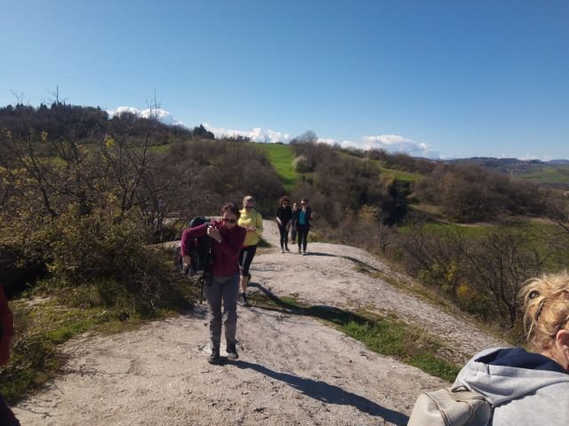 Scoprendo le Marmotte di Bologna