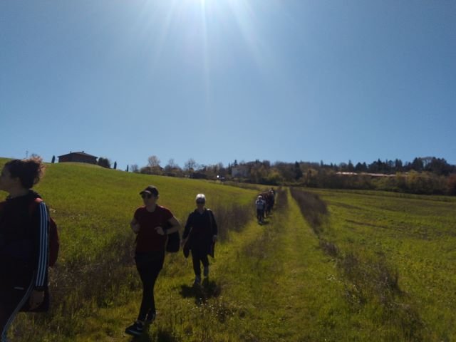 Scoprendo le Marmotte di Bologna