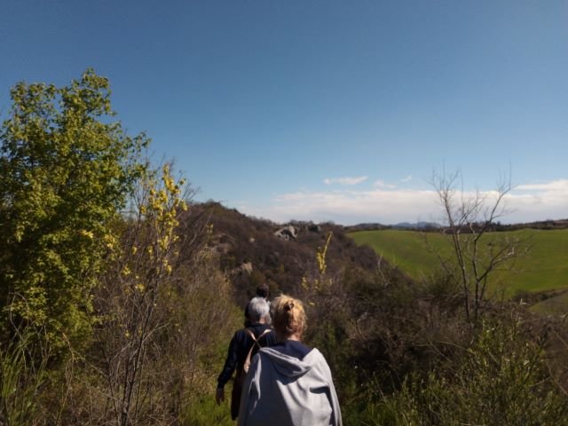 Scoprendo le Marmotte di Bologna