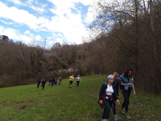 Scoprendo le Marmotte di Bologna