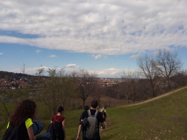 Scoprendo le Marmotte di Bologna