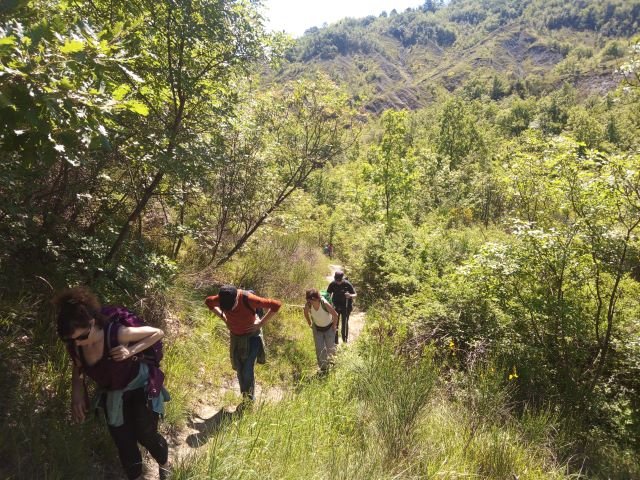 I tesori del Parco di Monteveglio