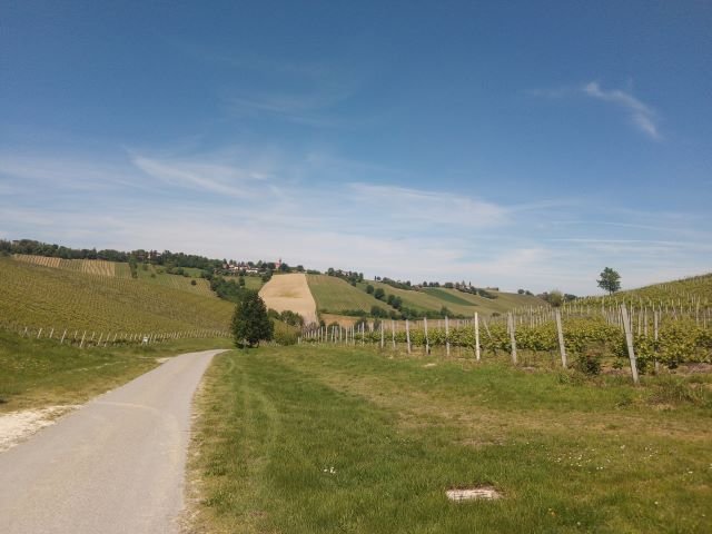 I tesori del Parco di Monteveglio