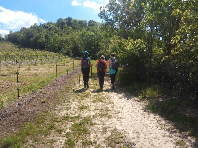 I tesori del Parco di Monteveglio