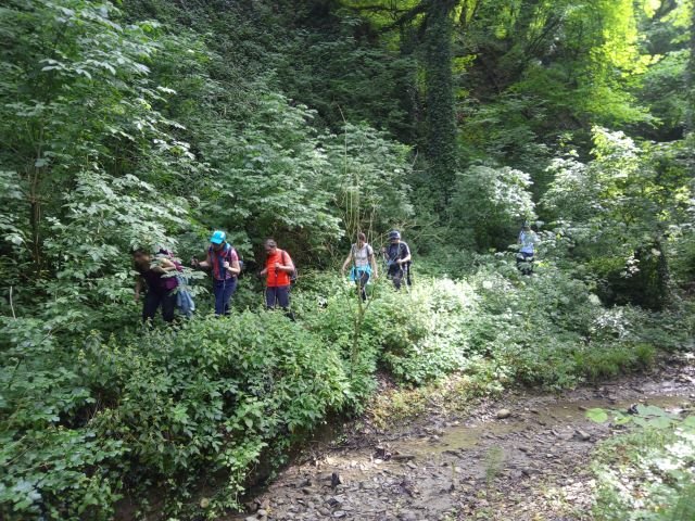 I tesori del Parco di Monteveglio