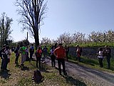 Il Giappone tra Bologna e Modena