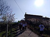 Il Giappone tra Bologna e Modena
