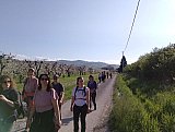 Il Giappone tra Bologna e Modena