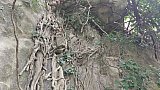  Nella terra dei signori di Panico 
