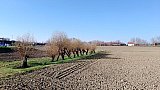  Il Canale Navile