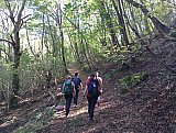 Alla scoperta dell'Oasi di Montovolo