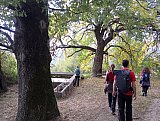 Alla scoperta dell'Oasi di Montovolo