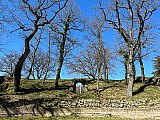 Tra Natura e Storia