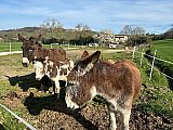 Tra Natura e Storia