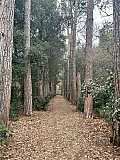 Tra Natura e Storia