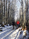 Campigna e Monte Falco