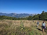 Monte Coloreta