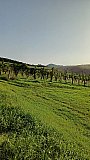 L'Antica Pieve di S. Lorenzo