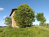 Sulle tracce della Marianeina