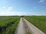 Sulle tracce della Marianeina