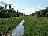 Sulle tracce della Marianeina
