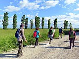 Sulle tracce della Marianeina