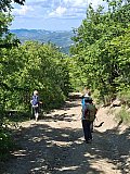 Il Cammino delle Pievi