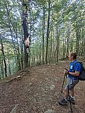 Sull'alta Via dei Parchi