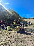 Percorso musicale e artistico