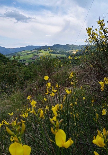 I Tesori di Monte Bibele