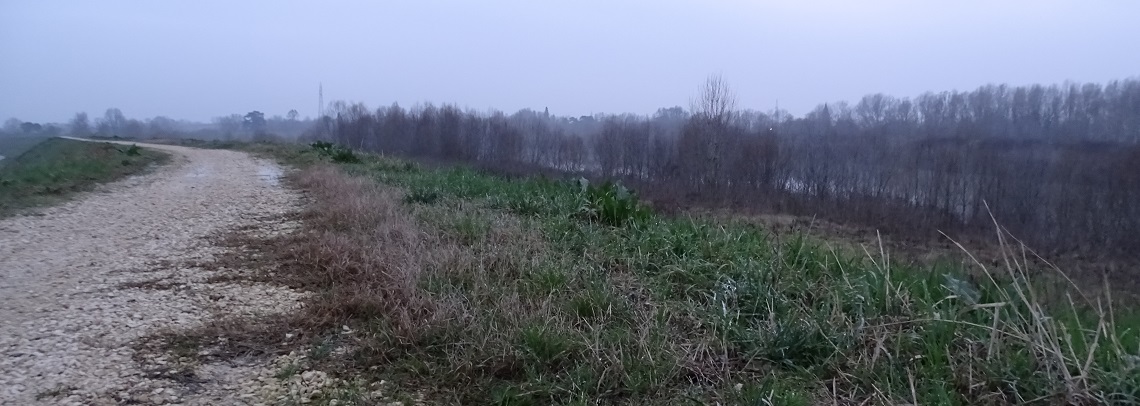 DSC00828
