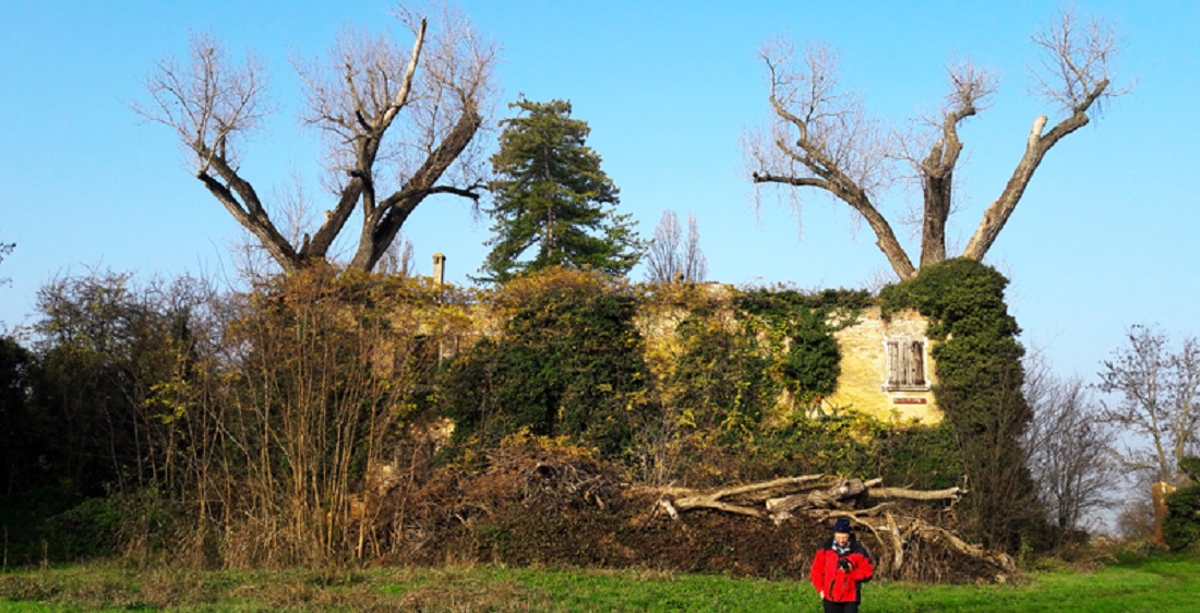 2._I_Due_Pioppi_di_Armarolo_-_Compagnia_Guide_Valli_Bolognesi_-_26.11.20