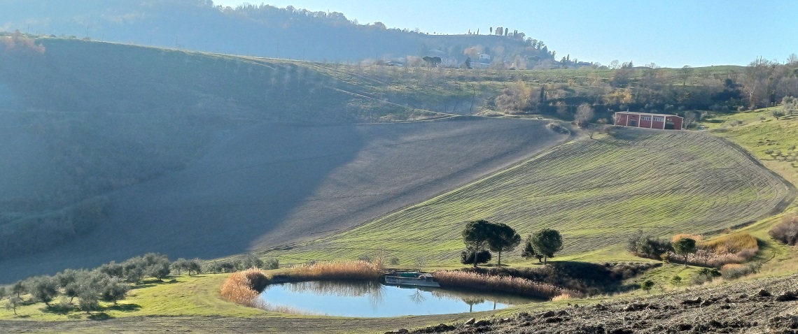 La_Luce_della_Poesia_-_15225